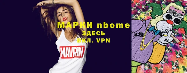 индика Богданович