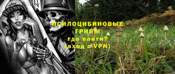 индика Богданович