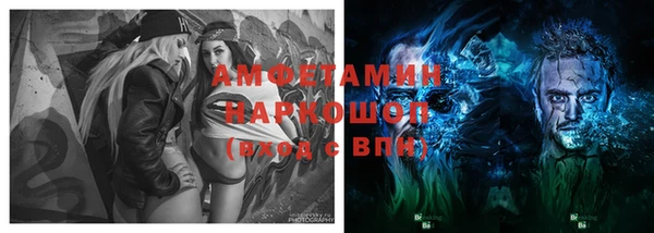 индика Богданович
