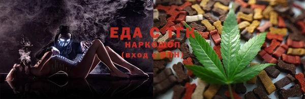 стаф Бородино
