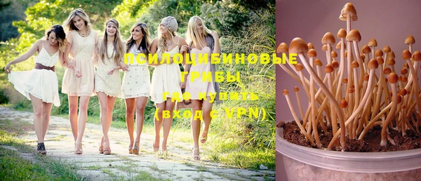 каннабис Богородицк