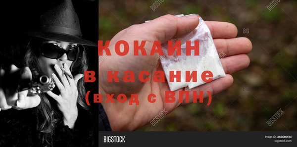 стаф Бородино