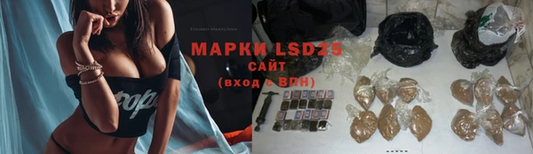 PSILOCYBIN Бронницы