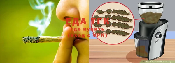 индика Богданович