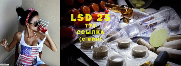 индика Богданович