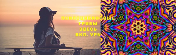 стаф Бородино